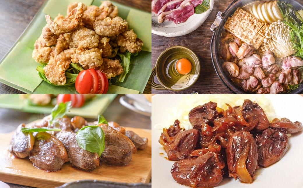 『京鴨』鴨肉 ふるさと 特選 セット（3パック（合計約900g））【配達不可：離島】