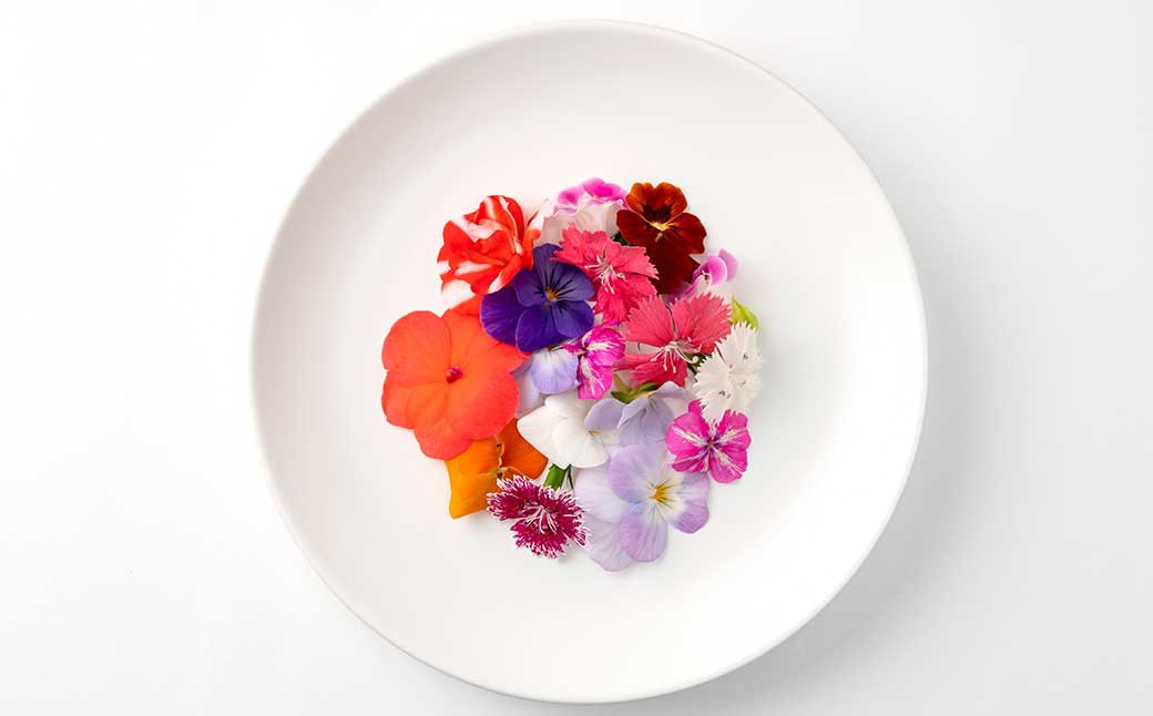 エディブルフラワー 生花MIX（20輪入り）5パックセット