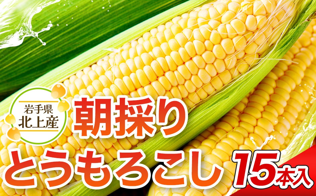 朝採りの甘～いとうもろこしをそのまま直送！