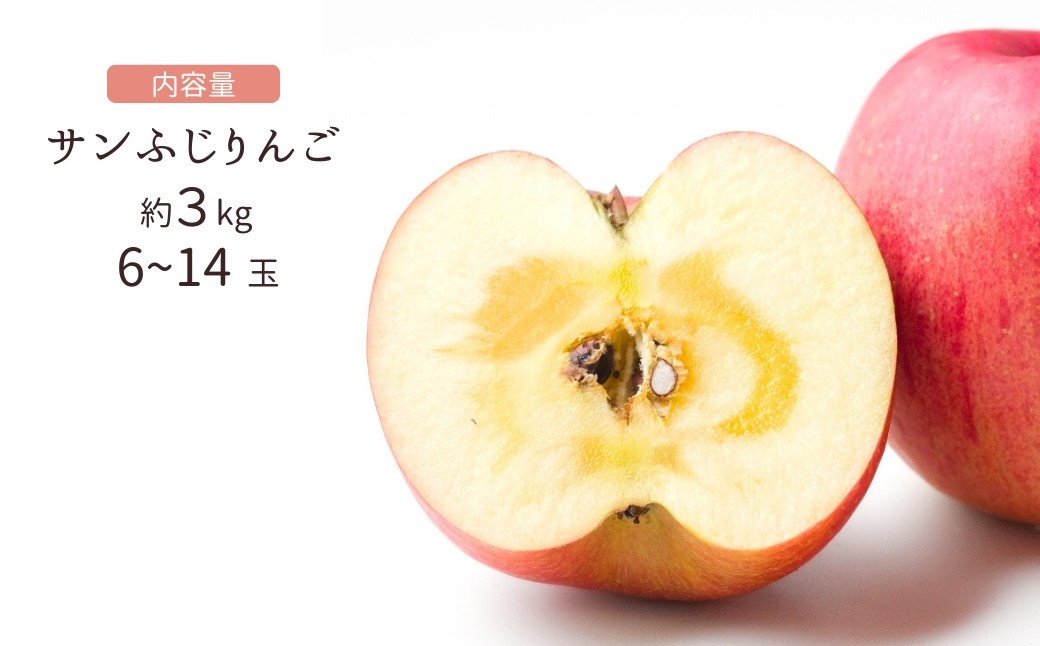 訳あり りんご サンふじ 約3kg (6~14玉)