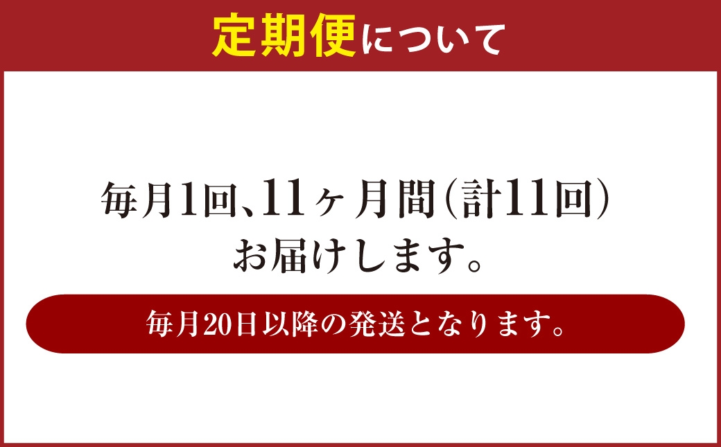 【定期便】アサヒ 生ビール マルエフ 500ml×毎月1ケース