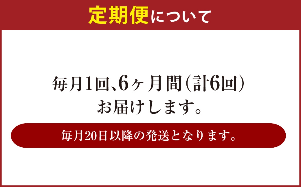 【定期便】アサヒ ザ・リッチ 500ml×毎月1ケース