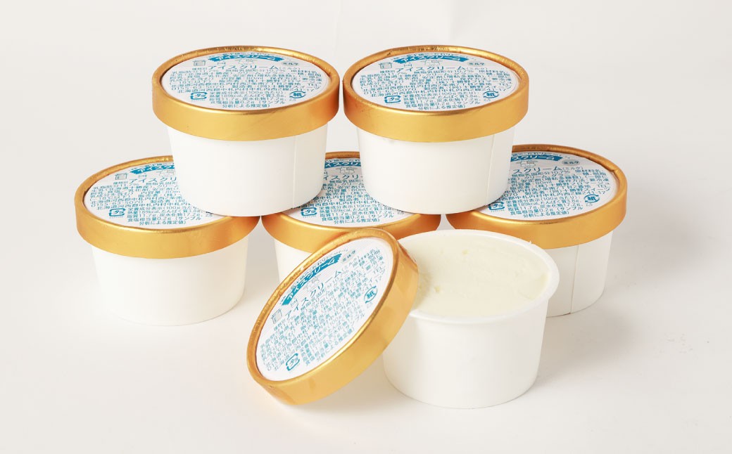十勝野こだわりアイスクリーム（ミルク） 80g×24個 セット 