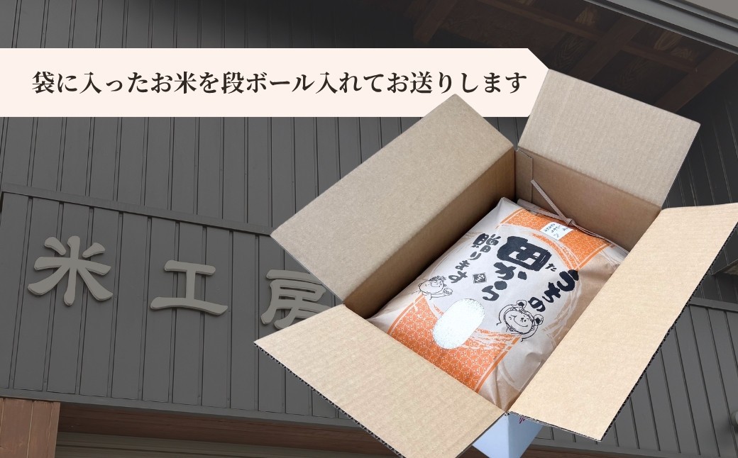 【令和６年産】 福島県産 コシヒカリ 白米 10㎏ × 1袋 ｜ 福島 福島産 精米 南相馬産 令和6年産米 星忠雄商店 星米店