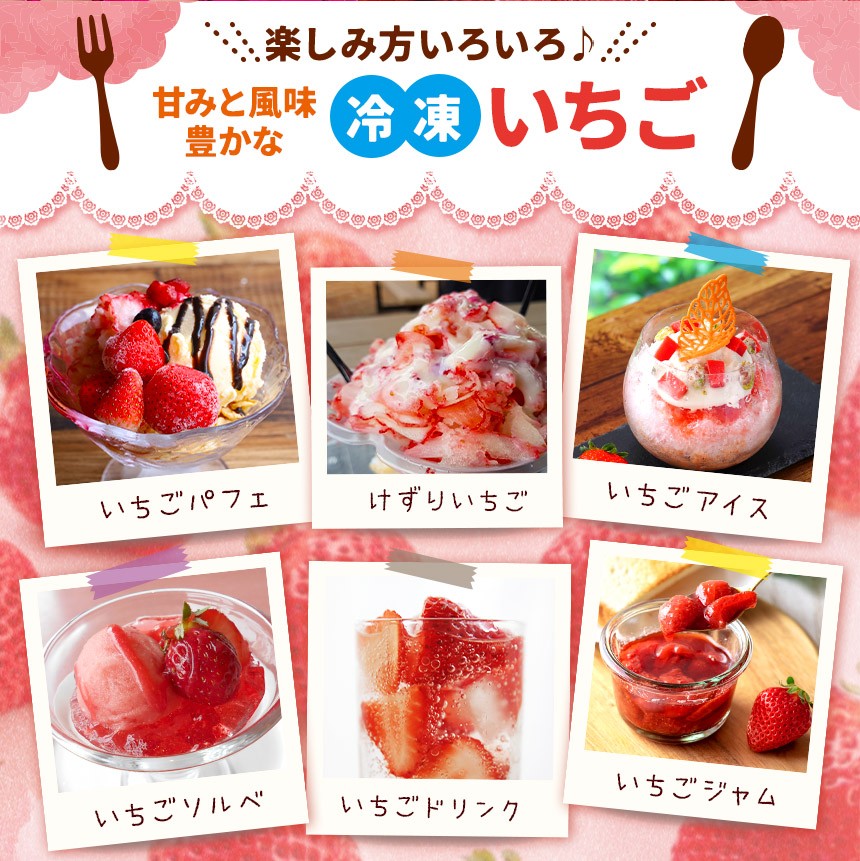 朝採りの新鮮な完熟いちごを急速冷凍しています