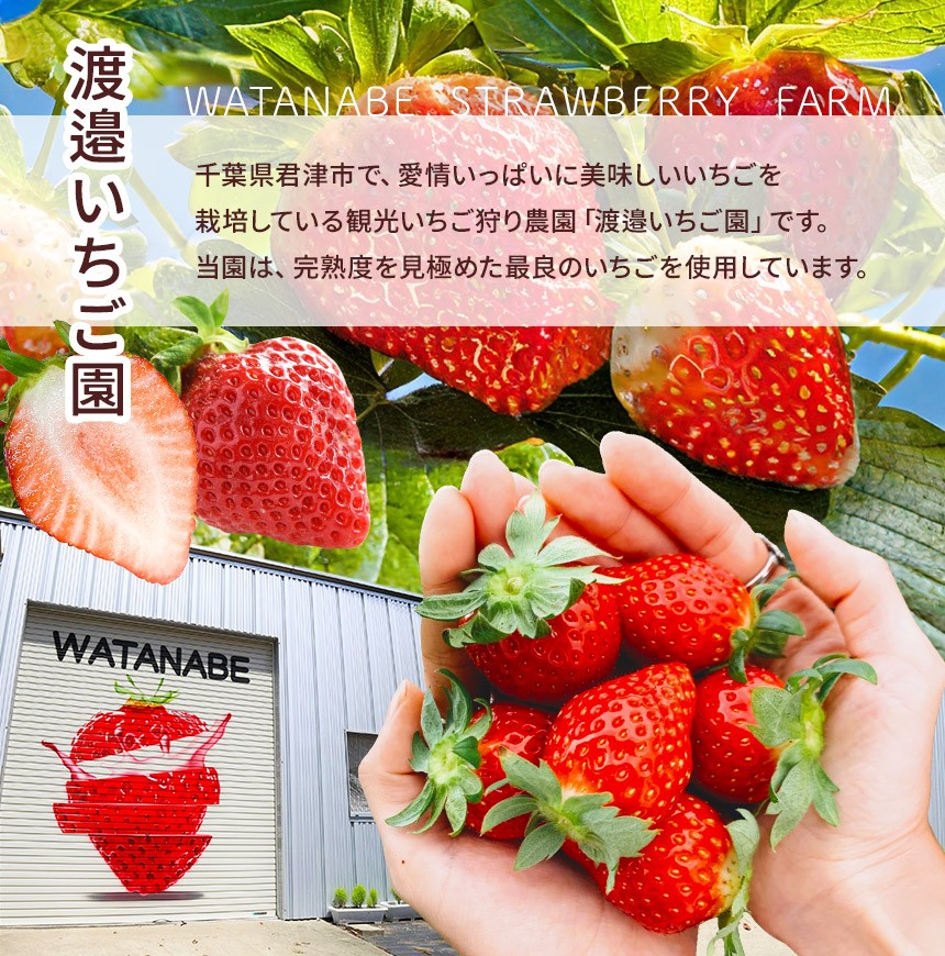 渡邉いちご園は、東京方面からアクアラインを経由し、館山道君津IC を出て3 分