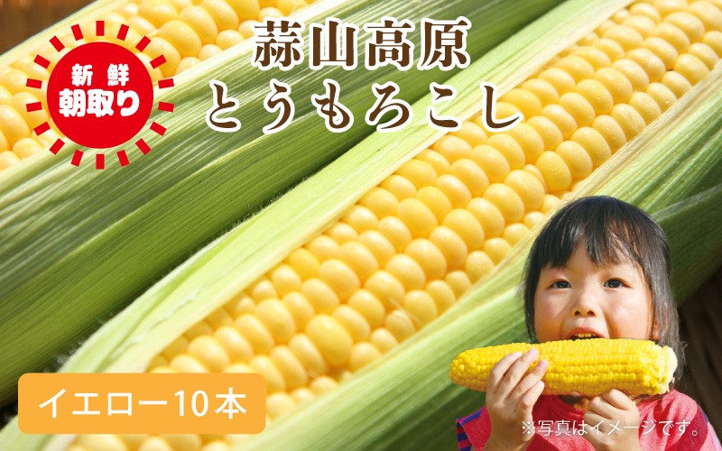 新鮮朝取り 蒜山高原とうもろこし