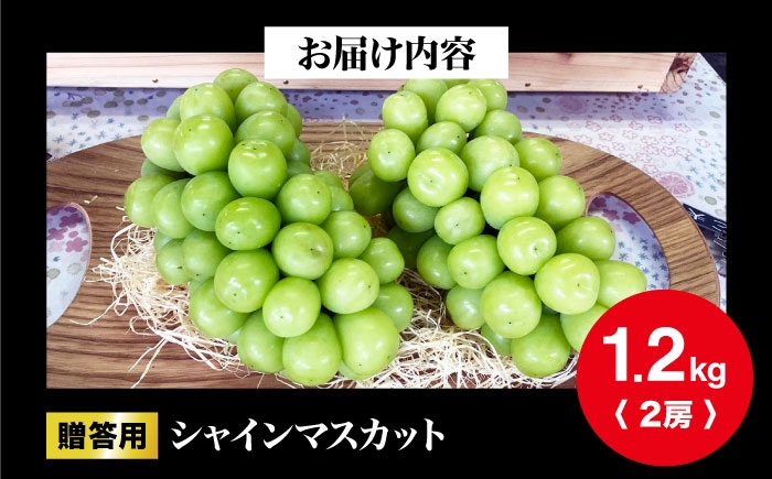 シャインマスカット ぶどう フルーツ 葡萄 ブドウ 果物 贈答 シャイン マスカット 贈答用 人気 おすすめ 送料無料