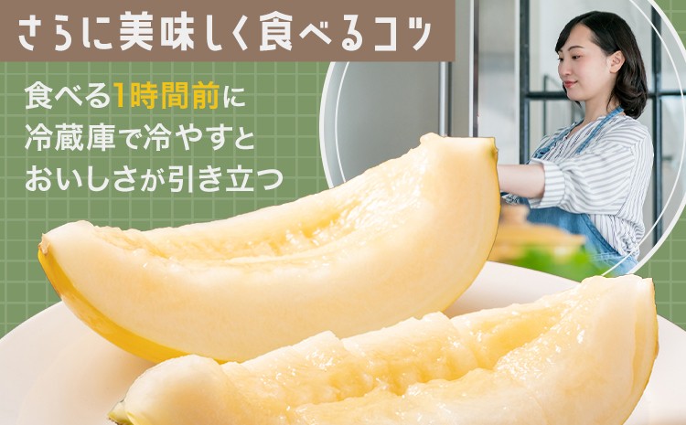 熊本県 菊池市産 キンショーメロン 2kg(3～6玉) メロン ノーネット
