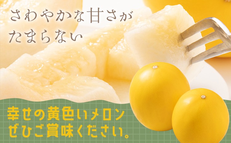 熊本県 菊池市産 キンショーメロン 2kg(3～6玉) メロン ノーネット