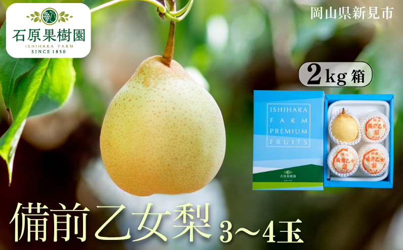 季節の味覚をお楽しみください。