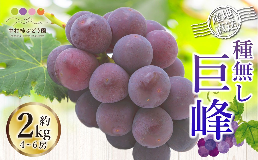種なし巨峰 4～6房 （約2kg）
