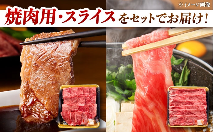 肩ロース 焼肉 スライス しゃぶしゃぶ 定期便 セット
