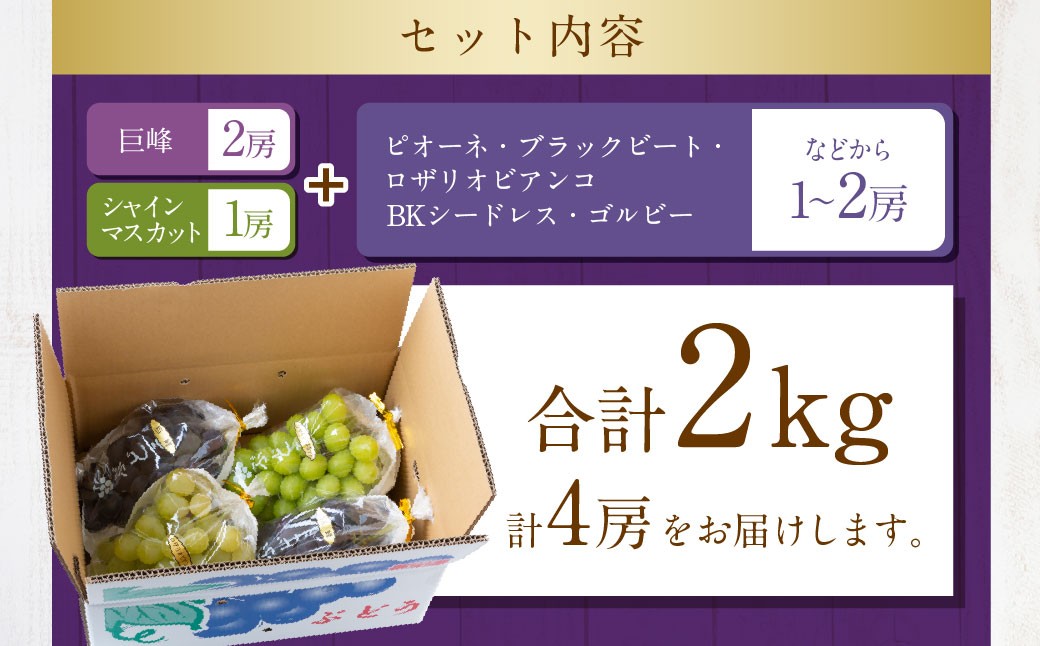 【先行予約】龍頭農園 巨峰とシャインマスカット＋αの4房セット