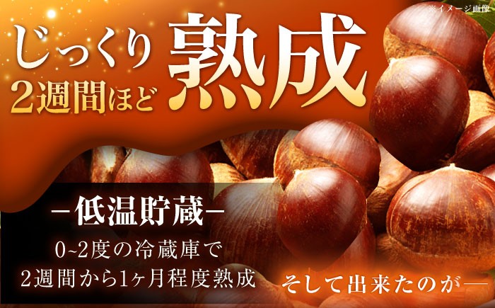 おやすみ栗（マロン） 2kg