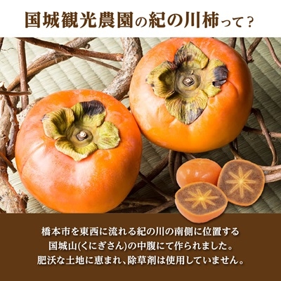 ひとつひとつ、樹上で袋掛けし、渋抜きを行っています。