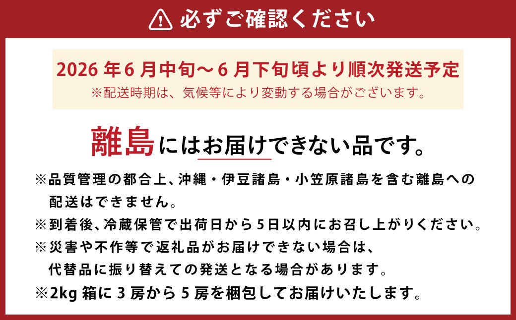 6月に食べられるぶどうピオーネ3～5房（約2kg）