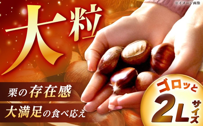 おやすみ栗（マロン） 2kg