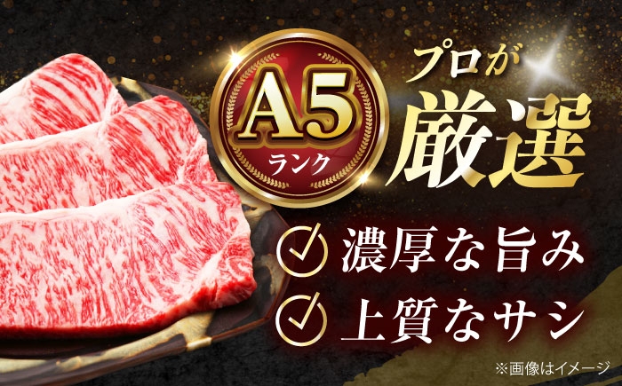 肉 お肉 国産 和牛 牛肉 冷凍 サーロイン ステーキ ギフト 贈答 A5ランク 国産和牛ステーキ 和牛ステーキ 人気 おすすめ