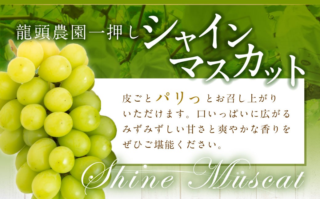 【先行予約】龍頭農園 巨峰とシャインマスカット＋αの4房セット