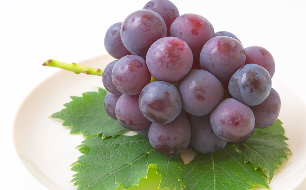 6月に食べられるぶどうピオーネ3～5房（約2kg）