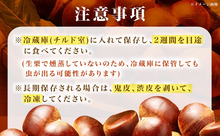 おやすみ栗（マロン） 1kg