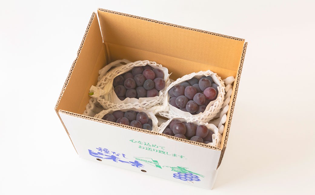 6月に食べられるぶどうピオーネ3～5房（約2kg）
