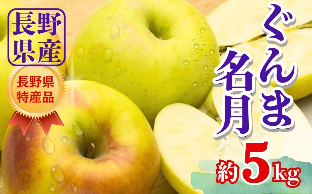 りんご ぐんま名月 約5kg