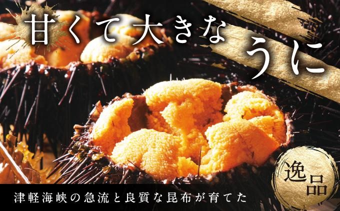 【ミョウバン不使用】とろける！北海道松前産の贅沢な天然キタムラサキウニ。濃厚な旨みと甘み。| 北海道 松前町 ふるさと納税