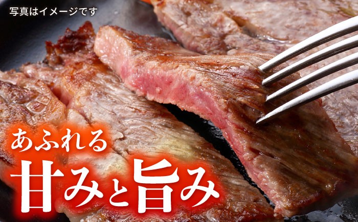 国産冷凍牛肉サーロインさーろいんサーロインステーキ和牛さーろいんすてーき牛真空パックステーキすてーき定期便ていきびん