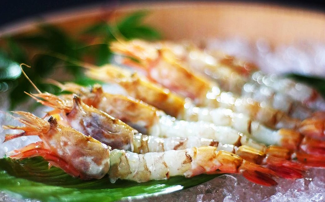 B24-073 鳥取県産　冷凍モサエビ【期間限定】