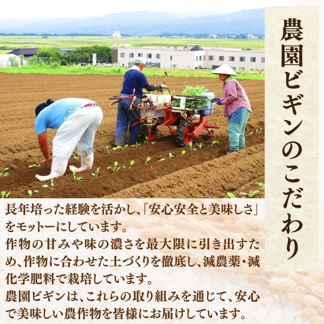 【お米の定期便】希少原種コシヒカリ モチモチ食感と優しい甘みが主役級の美味しさ