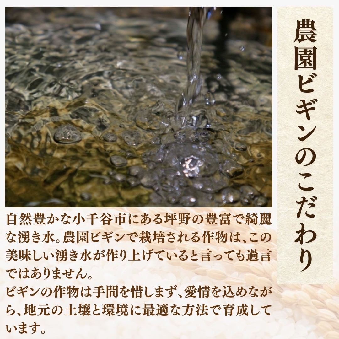 モチモチ食感と優しい甘み！ご飯だけで主役級の美味しさの希少原種コシヒカリ