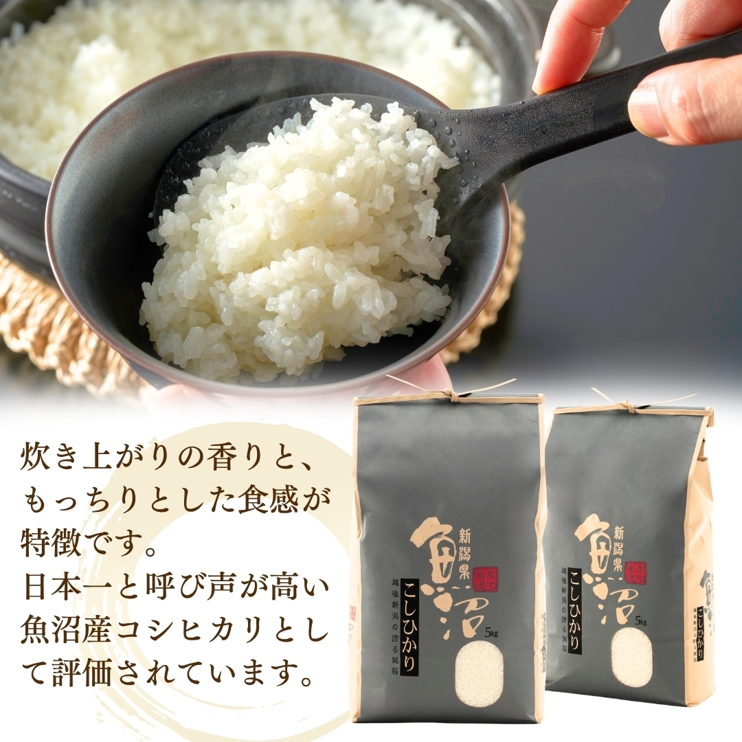 【お米の定期便】希少原種コシヒカリ モチモチ食感と優しい甘みが主役級の美味しさ