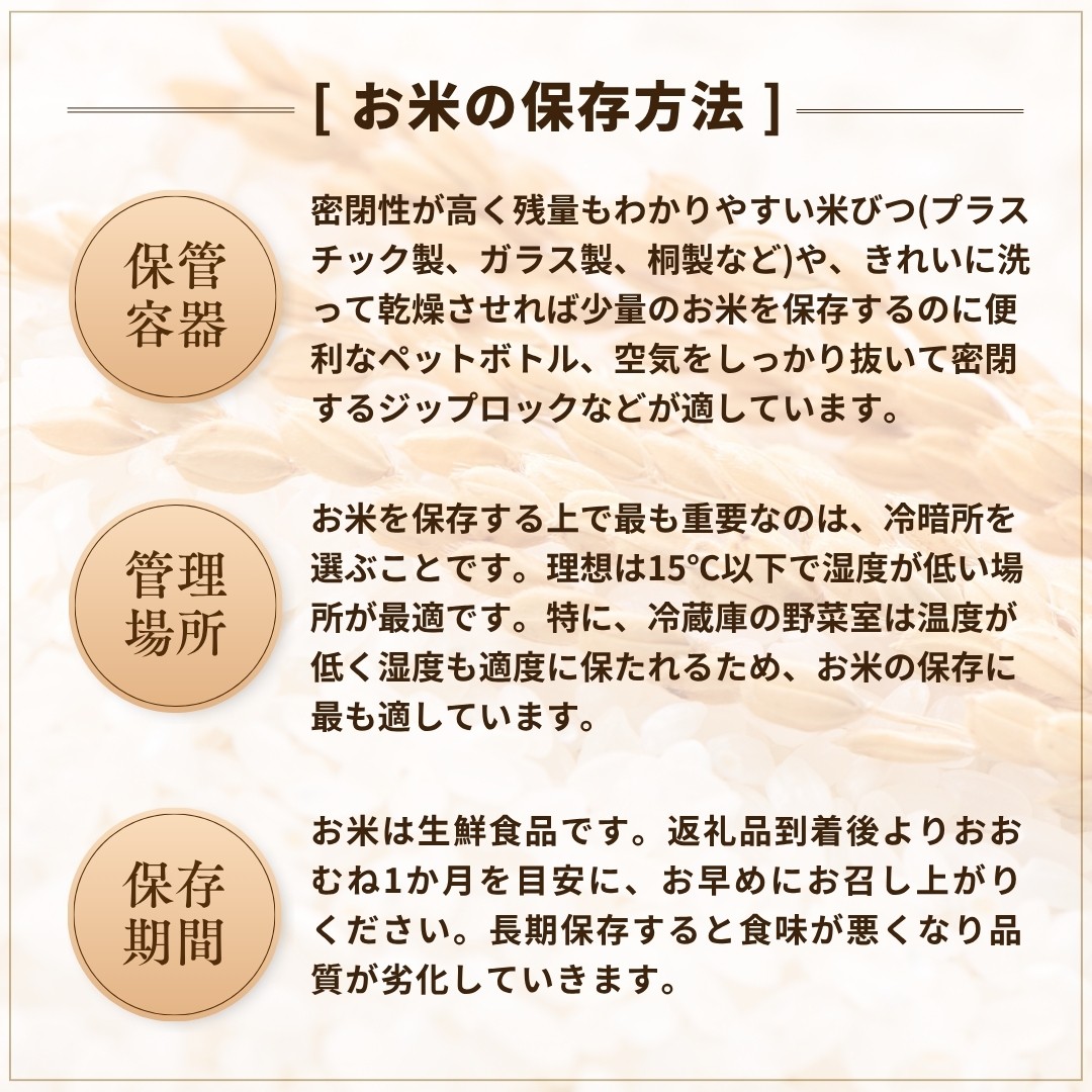 モチモチ食感と優しい甘み！ご飯だけで主役級の美味しさの希少原種コシヒカリ