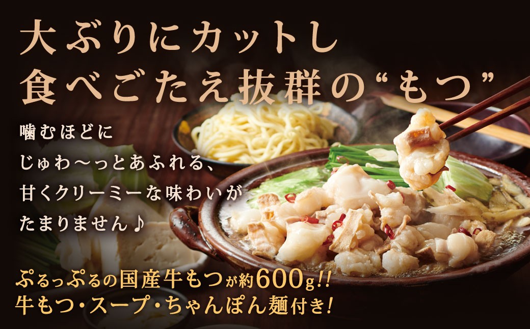 博多もつ鍋やまや もつ鍋セット あごだし醤油味(5~6人前)