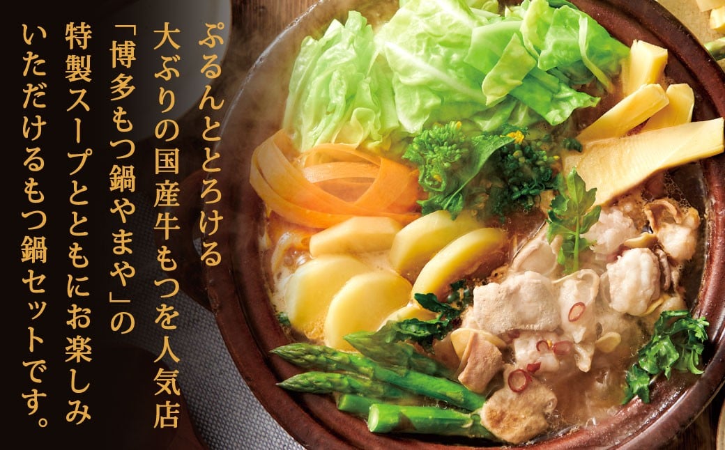 博多もつ鍋やまや もつ鍋セット こく味噌味(1~2人前)