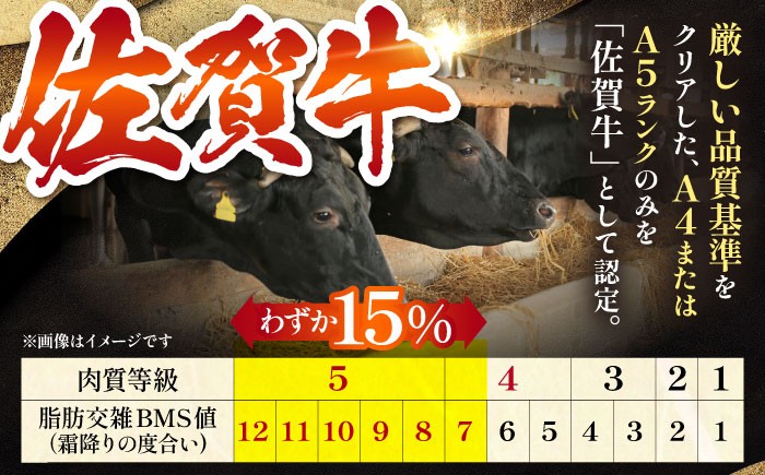 【最高級 A5ランク】佐賀牛 ロース セット 800g  牛肉 霜降り サーロイン A5 黒毛和牛 佐賀牛 ステーキ 冷凍