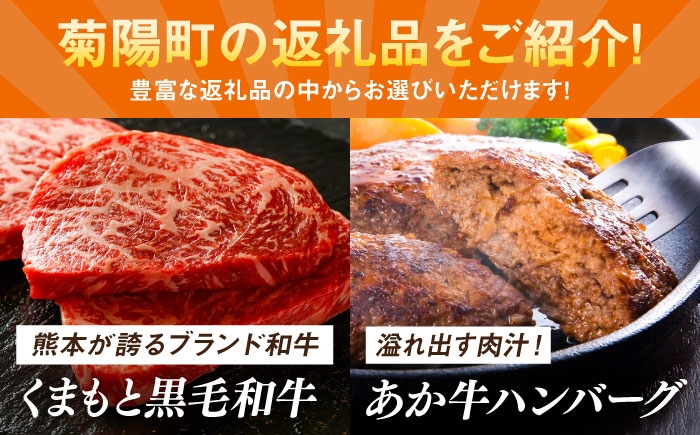 菊陽町ふるさとギフト 30万円分 肉 ラーメン ハンバーグ ハラペーニョ 馬刺し 味噌 あとから 野菜 熊本県 菊陽町