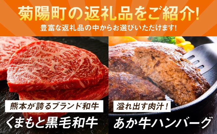 菊陽町ふるさとギフト 500万円分 肉  ラーメン ハンバーグ ハラペーニョ 馬刺し 味噌 あとから 野菜 熊本県 菊陽町