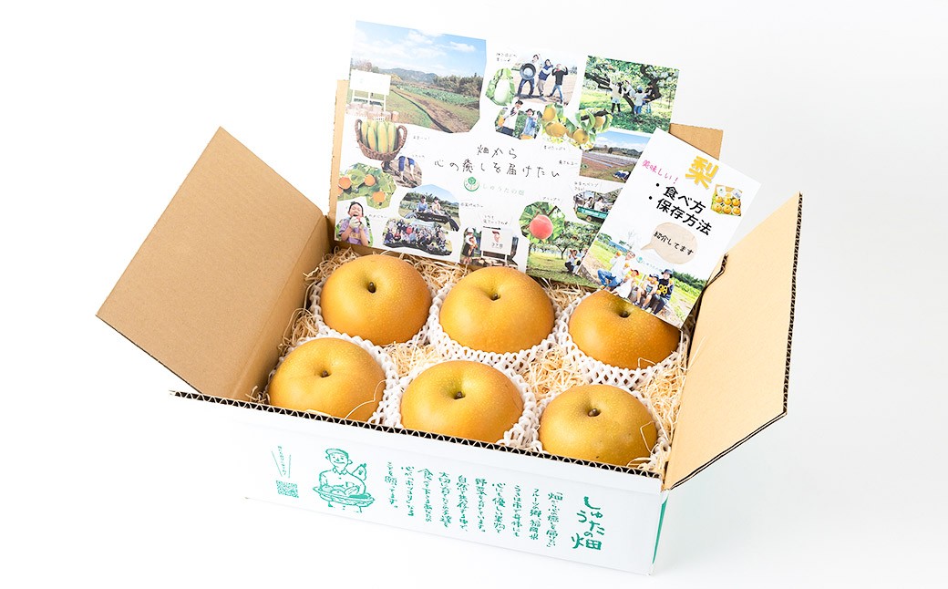 あきづき梨 6～7玉