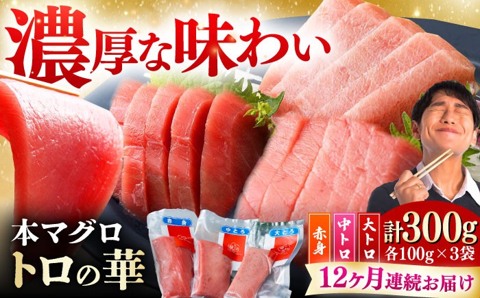 魚 海の幸 まぐろ マグロ 鮪 大とろ 中とろ 赤身 とろ 寿司 海鮮 鮮魚 刺身 さしみ 冷凍 トロの華 定期便 毎月 定期