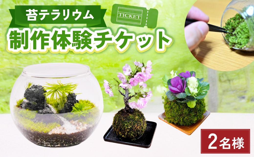 苔テラリウムの制作体験チケット ペアチケット