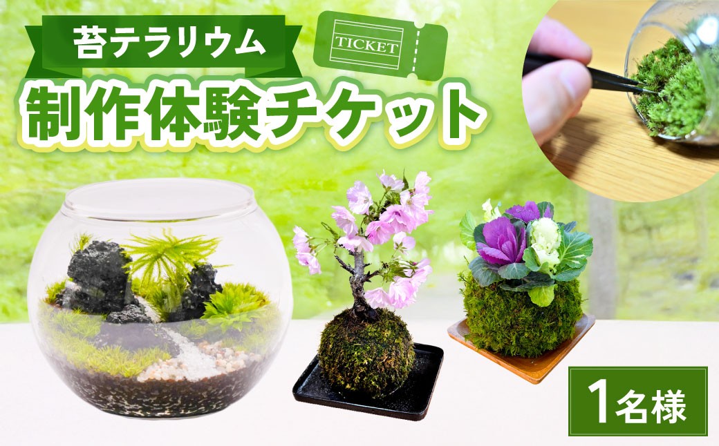 苔テラリウムの制作体験チケット 1名様