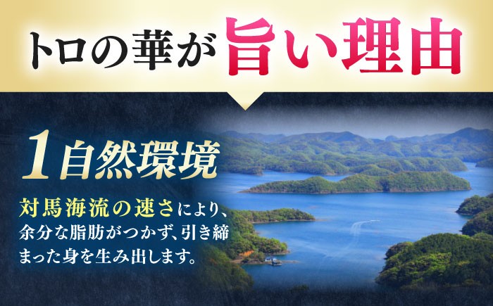 魚 海の幸 まぐろ マグロ 鮪 大とろ 中とろ 赤身 とろ 寿司 海鮮 鮮魚 刺身 さしみ 冷凍 トロの華 定期便 毎月 定期