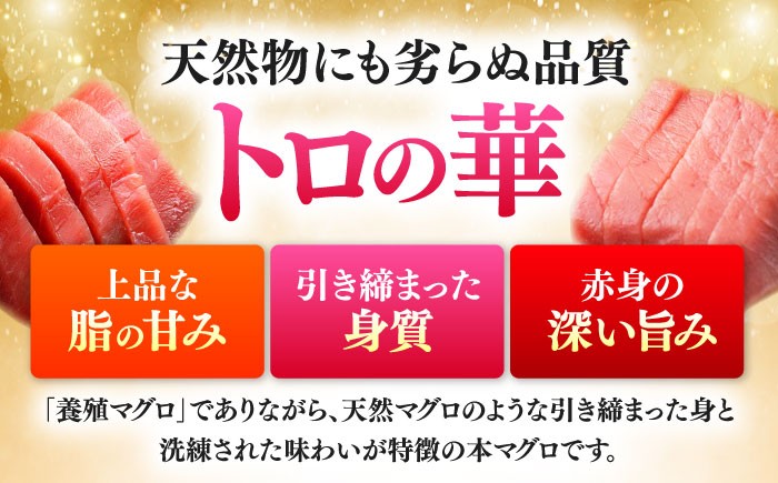 大トロ 中トロ 赤身 切り落とし 訳アリ 規格外 海鮮丼 まぐろ 本まぐろ 刺身 冷凍 トロの華 とろ マグロ 鮪 新鮮 鮮魚 