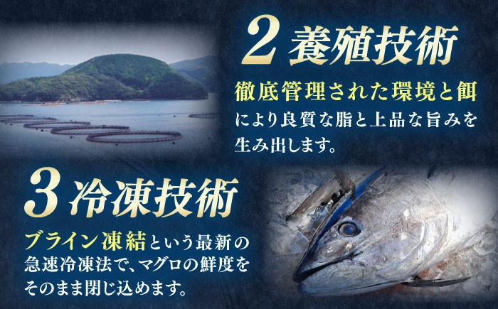 魚 海の幸 まぐろ マグロ 鮪 大とろ 中とろ 赤身 とろ 寿司 海鮮 鮮魚 刺身 さしみ 冷凍 トロの華 定期便 毎月 定期