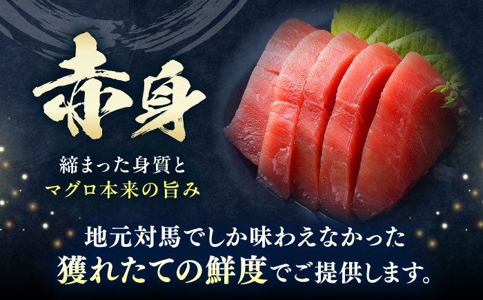 魚 海の幸 まぐろ マグロ 鮪 大とろ 中とろ 赤身 とろ 寿司 海鮮 鮮魚 刺身 さしみ 冷凍 トロの華 定期便 毎月 定期