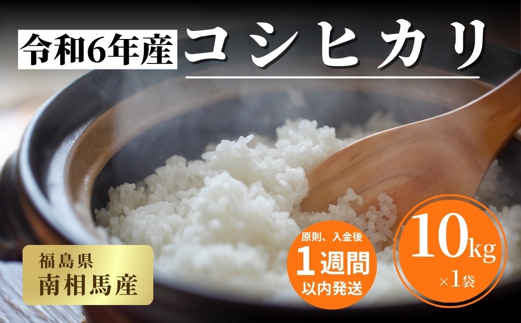 【令和６年産】 福島県産 コシヒカリ 白米 10㎏ × 1袋 ｜ 福島 福島産 精米 南相馬産 令和6年産米 星忠雄商店 星米店