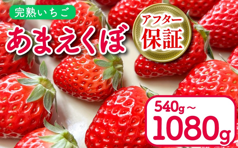 お写真の1箱2パック入りをもう1箱用意し、計2箱お届けします。